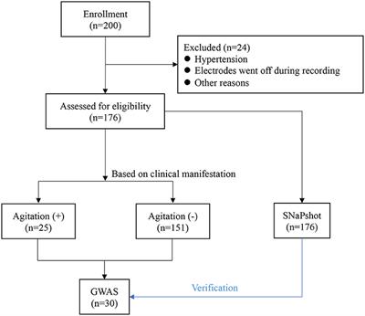 Electroencephalogram Signatures of Agitation Induced by Sevoflurane and Its Association With Genetic Polymorphisms